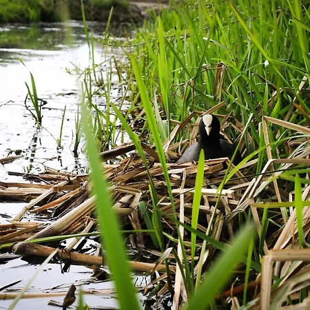 Bed & Breakfast De Kopstoof Lekkerkerk