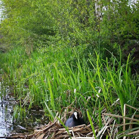 Bed & Breakfast De Kopstoof 4*