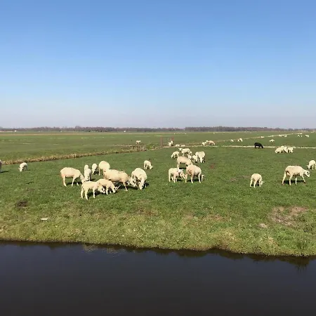 De Kopstoof 4*
