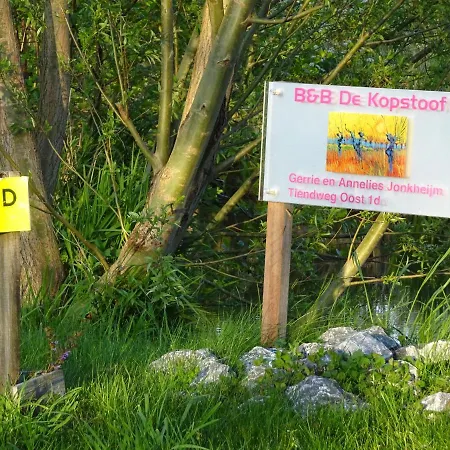 De Kopstoof