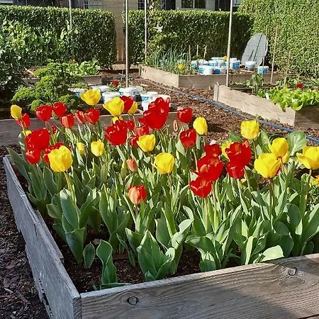 De Kopstoof