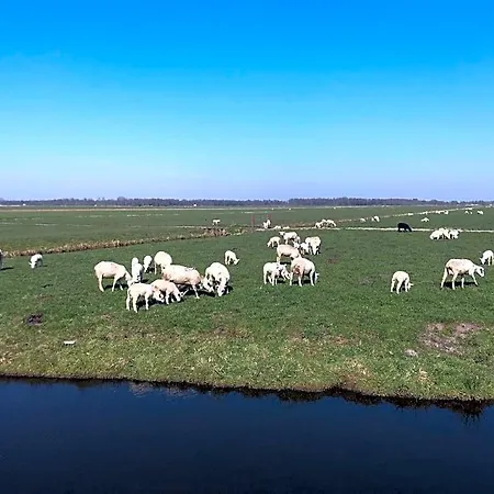 De Kopstoof B&B