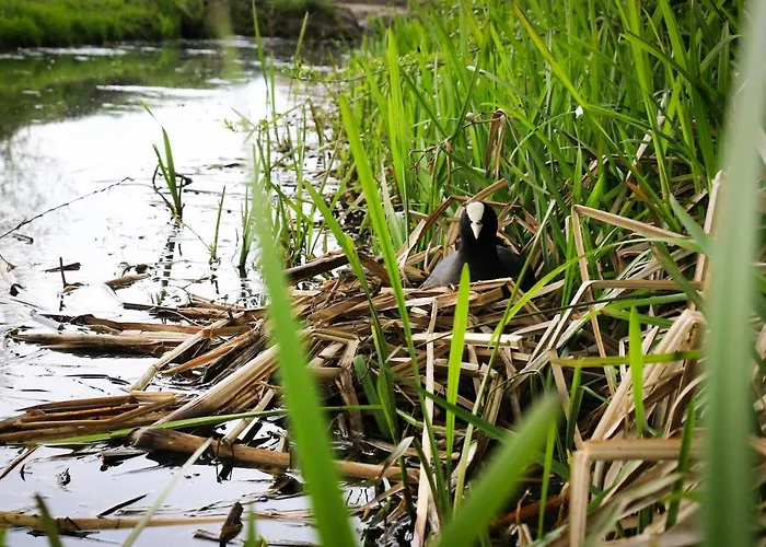 Alojamento de Acomodação e Pequeno-almoço De Kopstoof Lekkerkerk