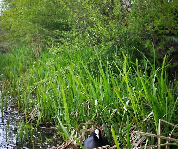 Bed & Breakfast De Kopstoof 4*