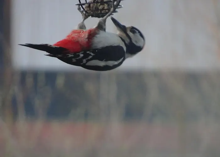 De Kopstoof Alojamento de Acomodação e Pequeno-almoço Lekkerkerk