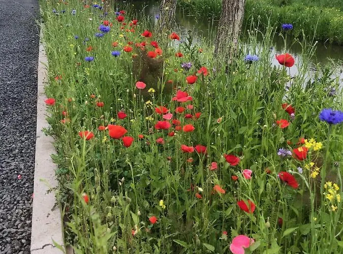 De Kopstoof 4* Lekkerkerk