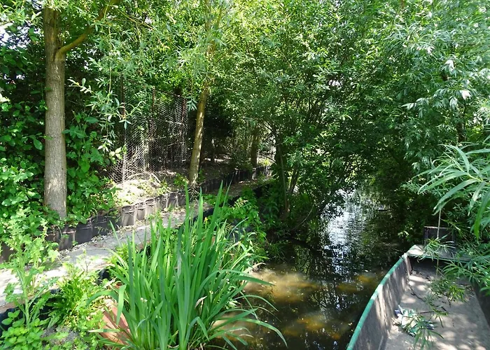 De Kopstoof Lekkerkerk