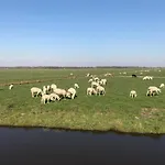 De Kopstoof 4*