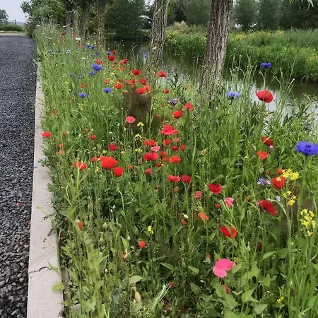 De Kopstoof 4* Lekkerkerk